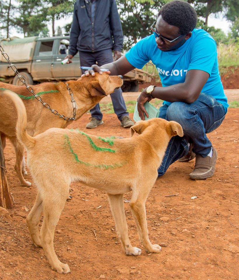 Rabies Vaccination
